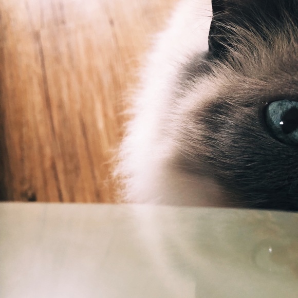 Meet The Seller - Picture 2 of 3